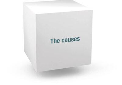 causes[1]